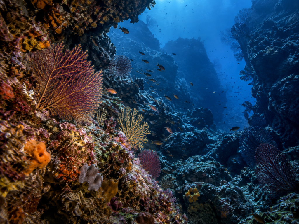 the deep lesson 2 2 image